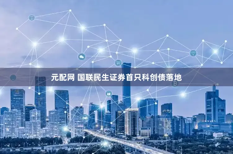 元配网 国联民生证券首只科创债落地