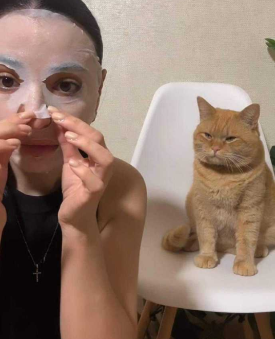 一直牛配资 猫猫好奇看主人贴面膜，被拉着一起贴：早知道不看了